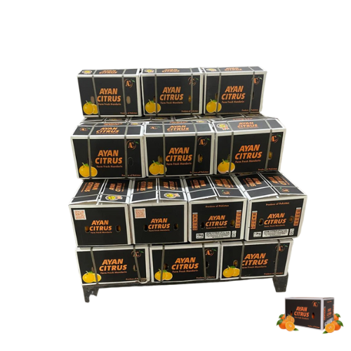 Fruiter Export Grade 10Kg Box