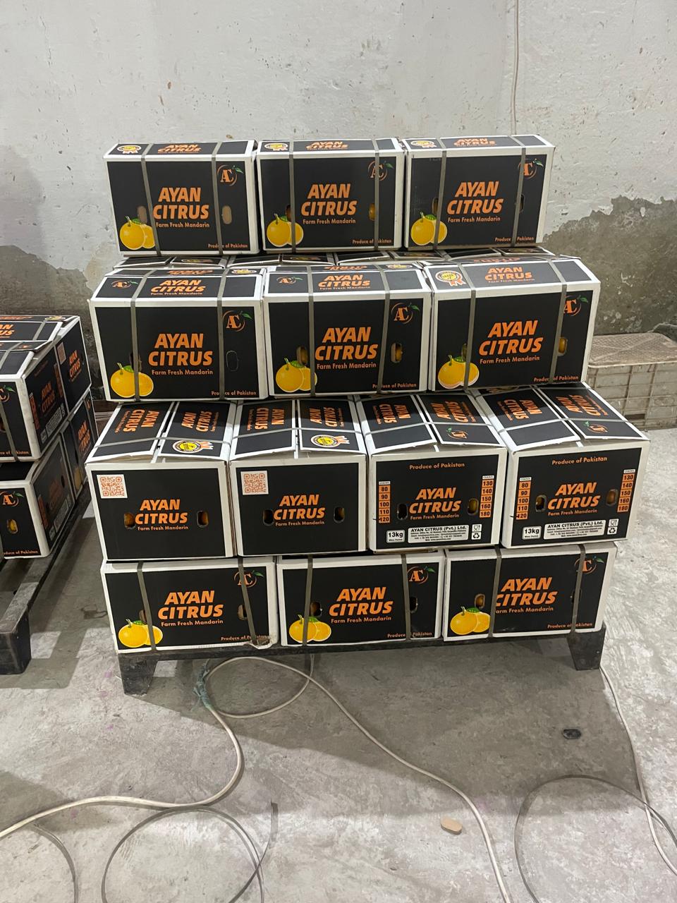 KINNOW (EXPORT QUALITY)