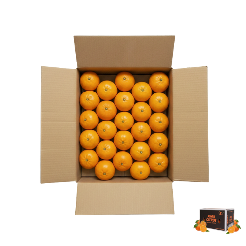 Export Grade Kinnu 10Kg Box