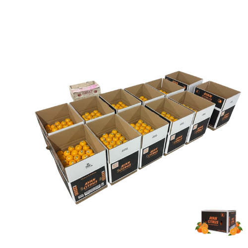 Export Grade Kinnu 10Kg Box
