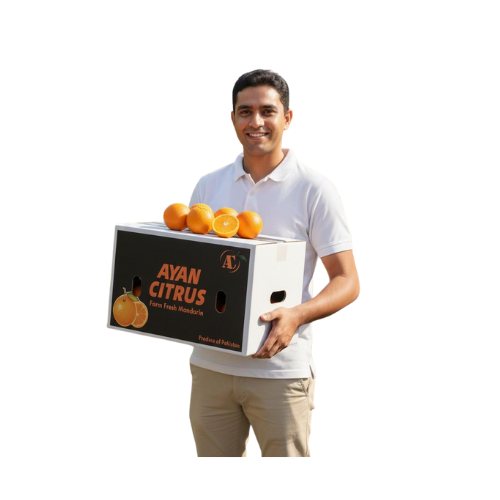 Export Grade Kinnu 10Kg Box