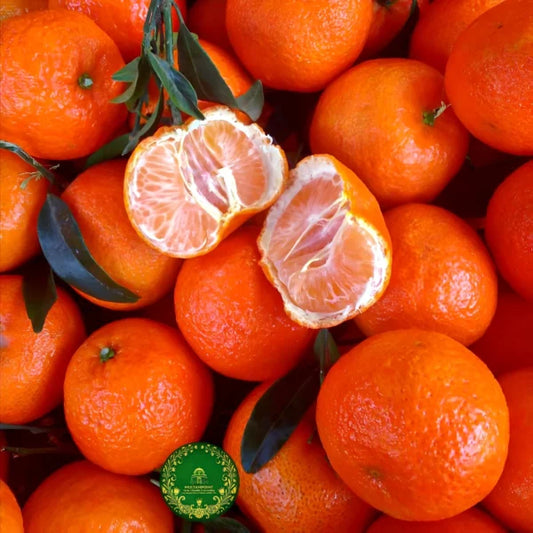 FRUITER (EXPORT QUALITY)