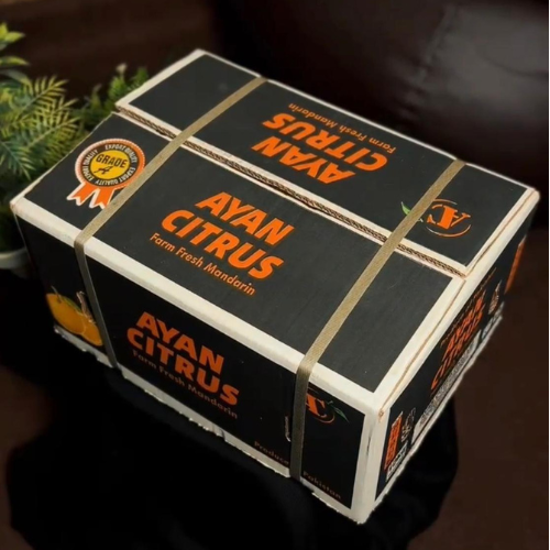 Export Grade Kinnu 10Kg Box